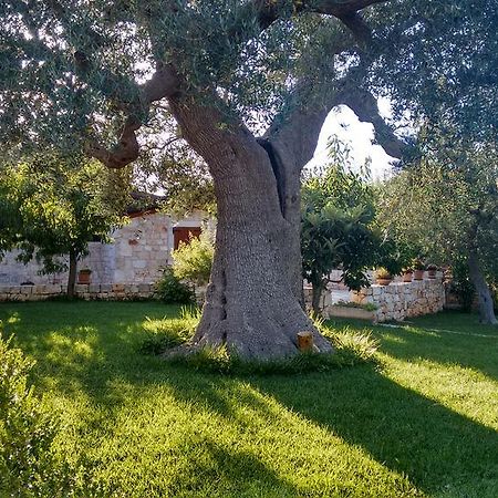 Il Giardino Degli Ulivi Bed and Breakfast Castellana Grotte Buitenkant foto